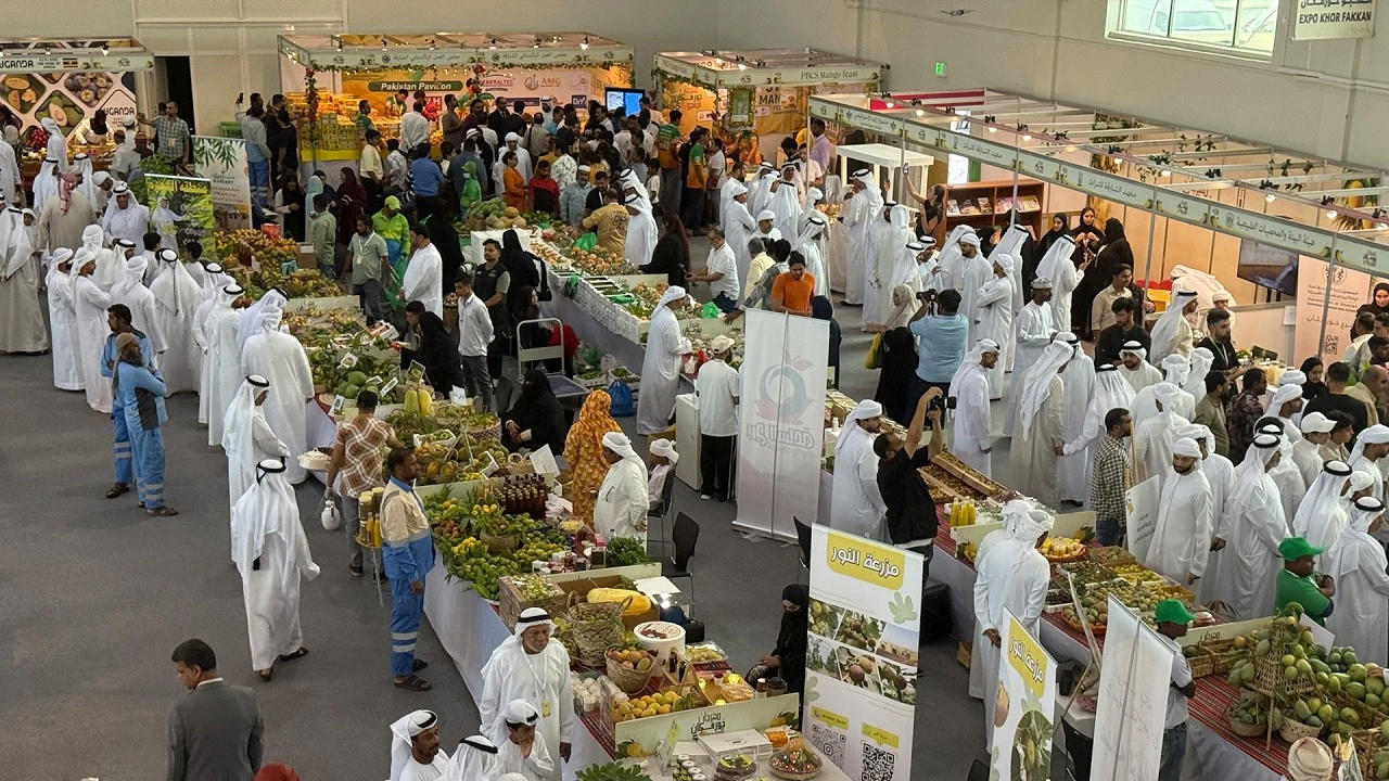 خورفكان تحتفل بنجاح اختتام مهرجان المانجو الخامس